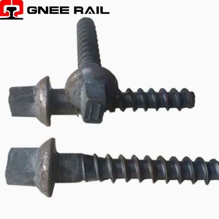 24x160mm Ss Sleeper Screw Spike suppliers